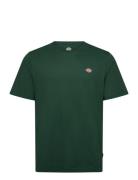 Dickies Ss Mapleton T-Shirt Grön