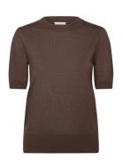 Saint Tropez Milasz Ss Pullover Brun