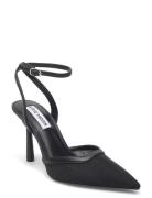 Steve Madden Alliance-M Svart
