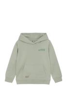 Daily 7 Hoodie Backprint Grön