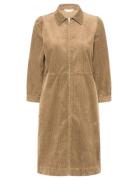 Part Two Eyvorpw Dr Brun