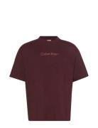 Calvin Klein Ss Standard Logo 30S Crewnk Tee Brun