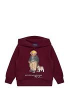 Ralph Lauren Kids Polo Bear Fleece Hoodie Burgundy