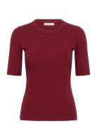 InWear Dagnaiw T-Shirt Burgundy