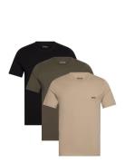 BOSS Tshirtrn 3P Classic Multi/patterned