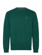 U.S. Polo Assn. Tais Reg Cot Pe Uspa M Sweat Grön