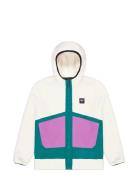 PICTURE ORGANIC CLOTHING Pmbton Zip Hoodie Multi/patterned