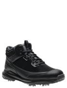 FootJoy Fj Stormwalker Svart