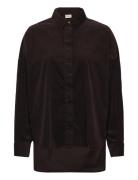 Fransa Frcory Sh 3 Brun