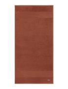 Lacoste Home Llecroco Bath Sheet Brun