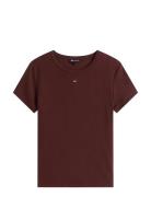 Tommy Jeans Tjw Slim Essential Rib Ss Ext Brun