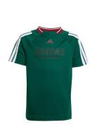 Adidas Sportswear J Hot Tee Grön