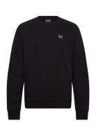 EA7 Sweatshirt Svart