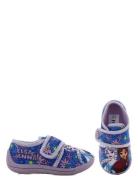 Frost Frozen Houseshoe Lila