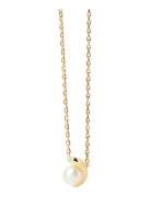 PD Paola Pdpaola La Perla Solitary Necklace Guld