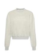 Calvin Klein Po Sweatshirt Grå