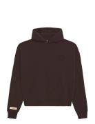 Prohibited Legacy Hoodie Brun