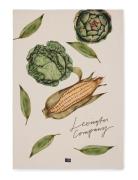 Lexington Home Vegetables Org Cotton Kitchen Towel Kräm
