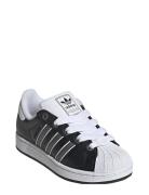Adidas Originals Superstar Ii J Svart