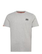 Superdry Great Outdoors Emb Relaxed Tee Grå