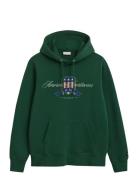 GANT Graphic Hoodie Grön