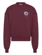 Prohibited Legacy Crew Neck Burgundy