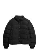 Superdry Non Hooded Sports Puffer Jkt Svart