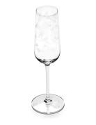 Serax Champagne Flute Camelia Aubergine Mf Set/4 Nude