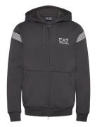 EA7 Sweatshirt Grå