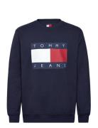 Tommy Jeans Tjm Reg Big Flag Cneck Ext Marinblå