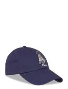 Polo Ralph Lauren Dog-Embroidered Twill Ball Cap Marinblå