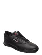 Reebok Classics Exofit Lo Clean Logo Int Svart