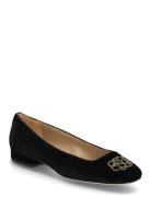 Lauren Ralph Lauren Emellie Logo Velvet Ballet Flat Svart