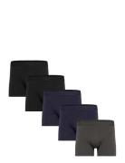 Claudio Claudio 5-Pack Tights Multi/patterned