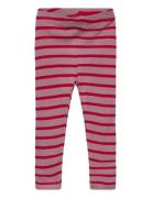 The New Tnsbrie Rib Leggings Rosa