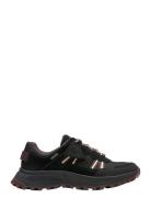 Clarks Atltrekshoegtx D Svart