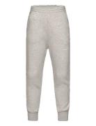 THE ANIMALS OBSERVATORY Frey Draco Sweatpants Grå