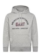 GANT Printed Graphic Hoodie Grå