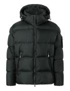 BOGNER Jamy-D2 Svart