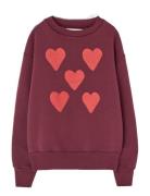 THE ANIMALS OBSERVATORY Hearts Browned Farnet Bear Sweatshirt Burgundy