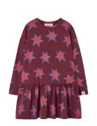 THE ANIMALS OBSERVATORY Stars Macaw Dress Burgundy