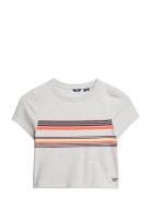 Superdry Vintage Stripe Crop Tee Grå