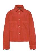 THE ANIMALS OBSERVATORY Fif Red Beabull Shirt Orange