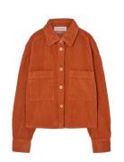 THE ANIMALS OBSERVATORY Fif Red Beabull Shirt Orange