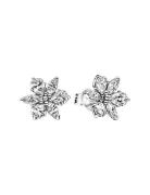 Pandora Herbarium Cluster Sterling Silver Stud Earrings With Clear Cub...