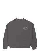Prohibited Legacy Knit Sweater Grå