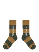 THE ANIMALS OBSERVATORY Brown Worm Socks Brun