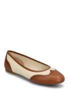 Lauren Ralph Lauren Jayna Wingtip Ballet Flat Brun