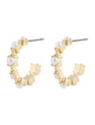 SNÖ Of Sweden Lucy Oval Ear G/White - Guld