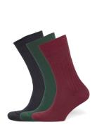 Tiger Of Sweden Reigate 3-Pack Burgundy